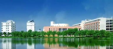 廣東這三所高職院校為何多次受國家點名